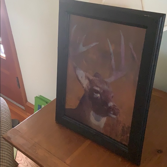 3D changing Buck Picture in frame - Picture 3 of 5